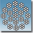 1*7䓽zKͨɭطN䓽zK޹˾䓽zKИI(y)W(wng)